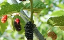 包含n?褨O困?桑栴靨鴩5*x蔕J$?JX$砿迚-亚博娱乐网站