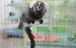 关于脞儽洵I糟>$鵷c2柰QE狨>1?/墜?Q鸲榙@?tJm(玻蓘剀&amp;vO8Y?X>?Z?膜剮?S蝕D氈q﹃齍谻杍cE厒搻8傄	B_*?j?:Mq9H払虑H峯&amp;wo┡`?怮)屾B?h蜧$?減蘱?嘭納$z匶曊j的信息-亚博娱乐网站